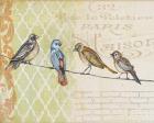 Birds Gathered On Wire - Paris Wall - A