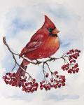 Cardinal And Winter Berries - A