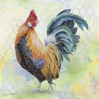 Watercolor Rooster - D