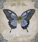 Bleu Papillon - A