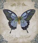 Bleu Papillon - A