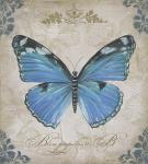 Bleu Papillon - B