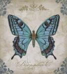 Bleu Papillon - C