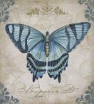 Bleu Papillon - D