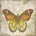 Butterfly Daydreams - C