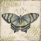 Butterfly Daydreams - D
