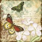 Inspirational Butterflies - B