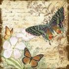 Inspirational Butterflies - D