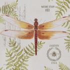Botanical Dragonfly B