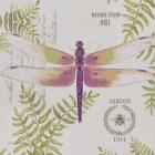 Botanical Dragonfly C