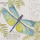 Botanical Dragonfly D