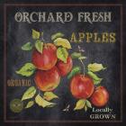 Orchard Fresh Apples