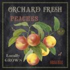 Orchard Fresh Peaches