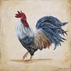 Rooster - B