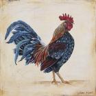 Rooster - C