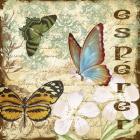 Inspirational Butterflies 1