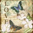 Inspirational Butterflies - Love