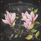 Magnolias 1