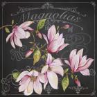 Magnolias 2
