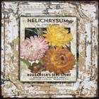 Tin Tile - Helchrysum