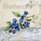 Tutti Fruiti Blueberries