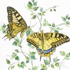 Summertime Butterflies A