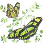 Summertime Butterflies D