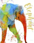 Colorful Safari Animals C
