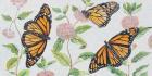 Monarch Majesty