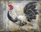 Gold Lace Rooster B
