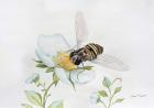 Bee In Watercolor