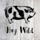 Hog Wild A