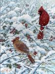 Winter Cardinal Painting