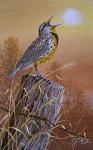 Meadowlark Painting