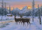 Whitetail & Cabin