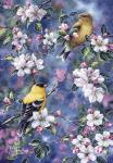 Gold Finch & Blossoms