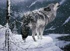 Lone Wolf