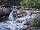 Entiat Falls-Grizzly Family