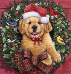 Christmas Puppy