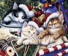 Meowy Christmas 2