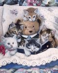 Kittens And Teddy Bear