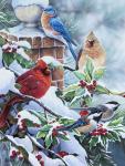 Songbirds and Holly