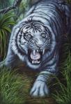 White Tiger