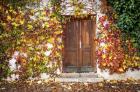 Autumn Wooden Doorway in Prague