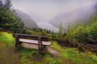 Bench Over the Upper Lake in Glendalough Ireland