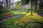 Colorful Corner Keukenhof Tulips Garden 4