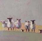 Seven Sheep