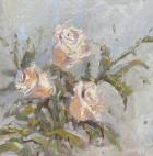 Antique Roses