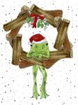 Santa Frog