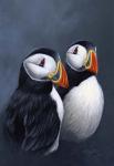 Puffins